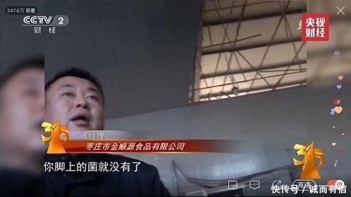 评委被爆料完整视频,真相与争议并存 第2张 评委被爆料完整视频,真相与争议并存 第2张