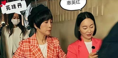 港星搞笑爆料大全视频,笑料百出，揭秘娱乐圈幕后趣闻