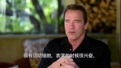 阿诺爆料视频大全集最新,揭秘幕后真相与精彩瞬间 第2张 阿诺爆料视频大全集最新,揭秘幕后真相与精彩瞬间 第2张