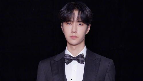 娱乐大爆料王一博王源,揭秘兄弟情深背后的精彩故事  第3张