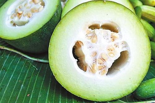 m718娱乐吃瓜,一场吃瓜盛宴背后的娱乐风云  第2张