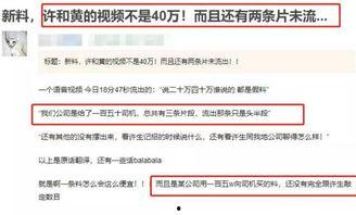 为什么视频没爆料过,为何视频从未揭露过这一惊人真相 第3张 为什么视频没爆料过,为何视频从未揭露过这一惊人真相 第3张